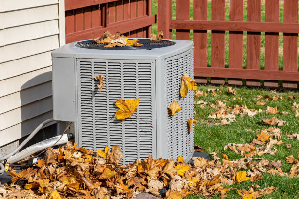 Best Air Quality Test  in Hawley, MN